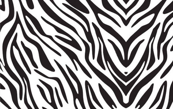 Zebra print animal skin for you to use in your artwork related to Zebra