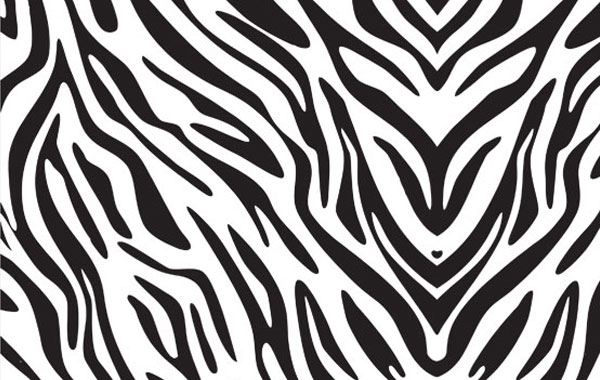 Zebra print animal skin for you to use in your artwork related to Zebra Zebra print animal skin for you to use in your artwork related to Zebra