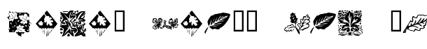 KR Leafy font logo
