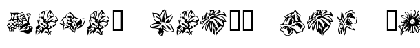 KR Beautiful Flowers 3 font logo