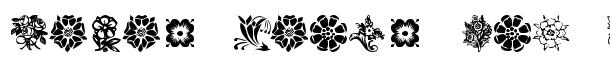 KR Fleurish Floral font logo
