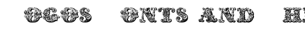 exotica Medium font logo