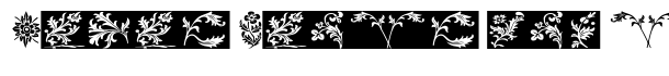 YY Old English Dingbats font logo