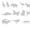 Animals font