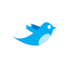 Twitter Birdie icon vector logo