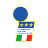 Italian Football Federation 1991 vector logo
