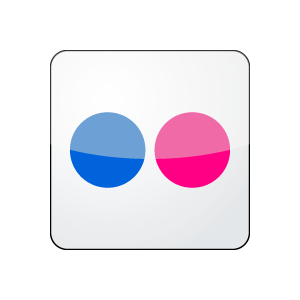 flickr square icon vector logo
