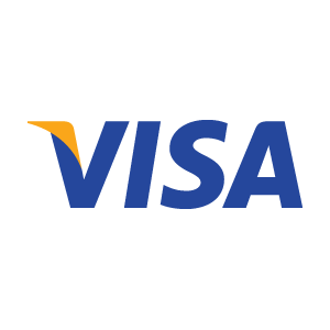 VISA 2006 vector logo