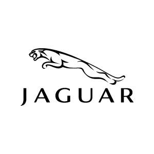 JAGUAR 2002 vector logo