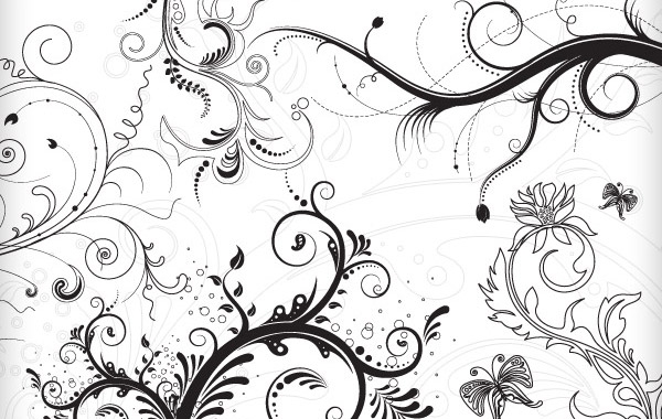 5 Floral Ornaments vector