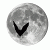 Bats and Full Moon vector logo