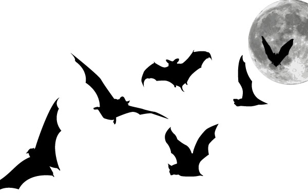 Bats and Full Moon vector