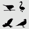 Birds Collection vector logo