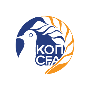 Cyprus Football Association vector logo