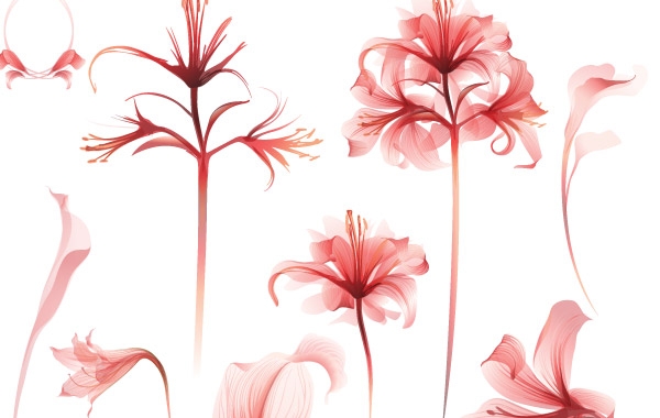 Delicate Spring Botanical Vectors vector