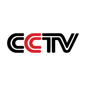 CCTV 1993 vector logo