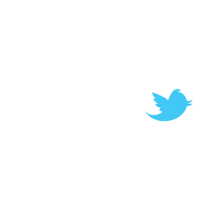 Twitter 2010 vector logo