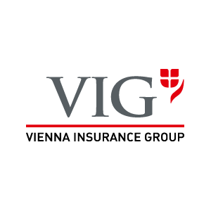 VIG | VIENNA INSURANCE GROUP 2011 vector logo