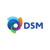 DSM 2011 vector logo