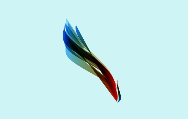 Colorful Feather vector