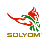 Sólyom Hungarian Airways 2013 vector logo