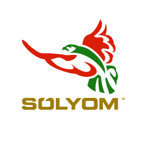 Sólyom Hungarian Airways 2013 vector logo