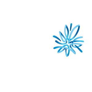 AMP 2011 vector logo
