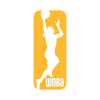 WNBA 2013 vector logo