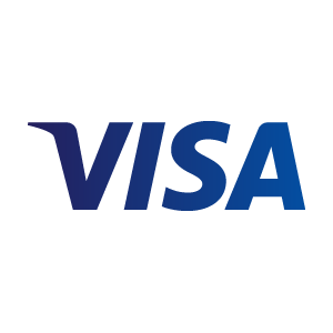 VISA 2014 vector logo